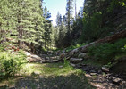 photo thumbnail #6