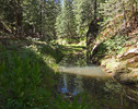 photo thumbnail #10