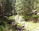 photo thumbnail #11
