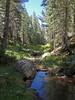 photo thumbnail #12