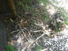 photo thumbnail #3