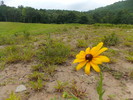 photo thumbnail #14