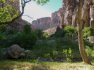 photo thumbnail #2