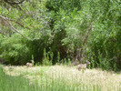 photo thumbnail #10