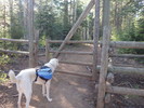 photo thumbnail #1