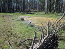 photo thumbnail #4
