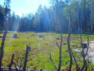 photo thumbnail #5