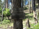 photo thumbnail #12