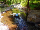 photo thumbnail #13