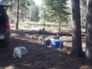 photo thumbnail #2