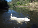 photo thumbnail #4