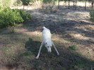 photo thumbnail #6