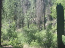 photo thumbnail #11