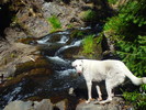 photo thumbnail #13