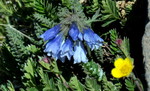 photo thumbnail #15