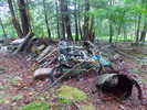 photo thumbnail #3