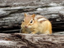 photo thumbnail #6