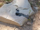 photo thumbnail #8