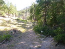 photo thumbnail #9