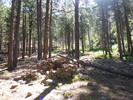 photo thumbnail #10