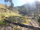 photo thumbnail #11