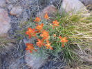 photo thumbnail #12