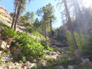 photo thumbnail #14