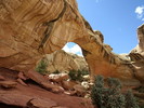 photo thumbnail #1
