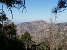 photo thumbnail #2