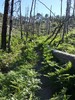 photo thumbnail #3