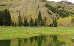 photo thumbnail #3
