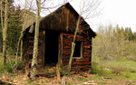 photo thumbnail #6