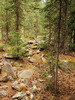 photo thumbnail #13