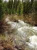 photo thumbnail #15