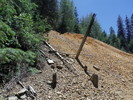 photo thumbnail #9