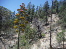 photo thumbnail #7