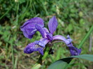 photo thumbnail #6