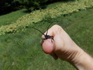 photo thumbnail #11