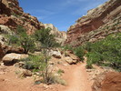 photo thumbnail #3
