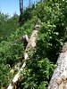 photo thumbnail #9