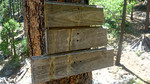 photo thumbnail #3