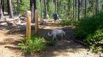 photo thumbnail #10