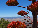photo thumbnail #15