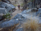 photo thumbnail #1