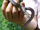 photo thumbnail #10