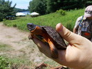 photo thumbnail #11