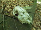 photo thumbnail #15