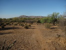 photo thumbnail #3
