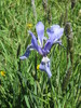 photo thumbnail #12