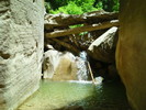 photo thumbnail #5